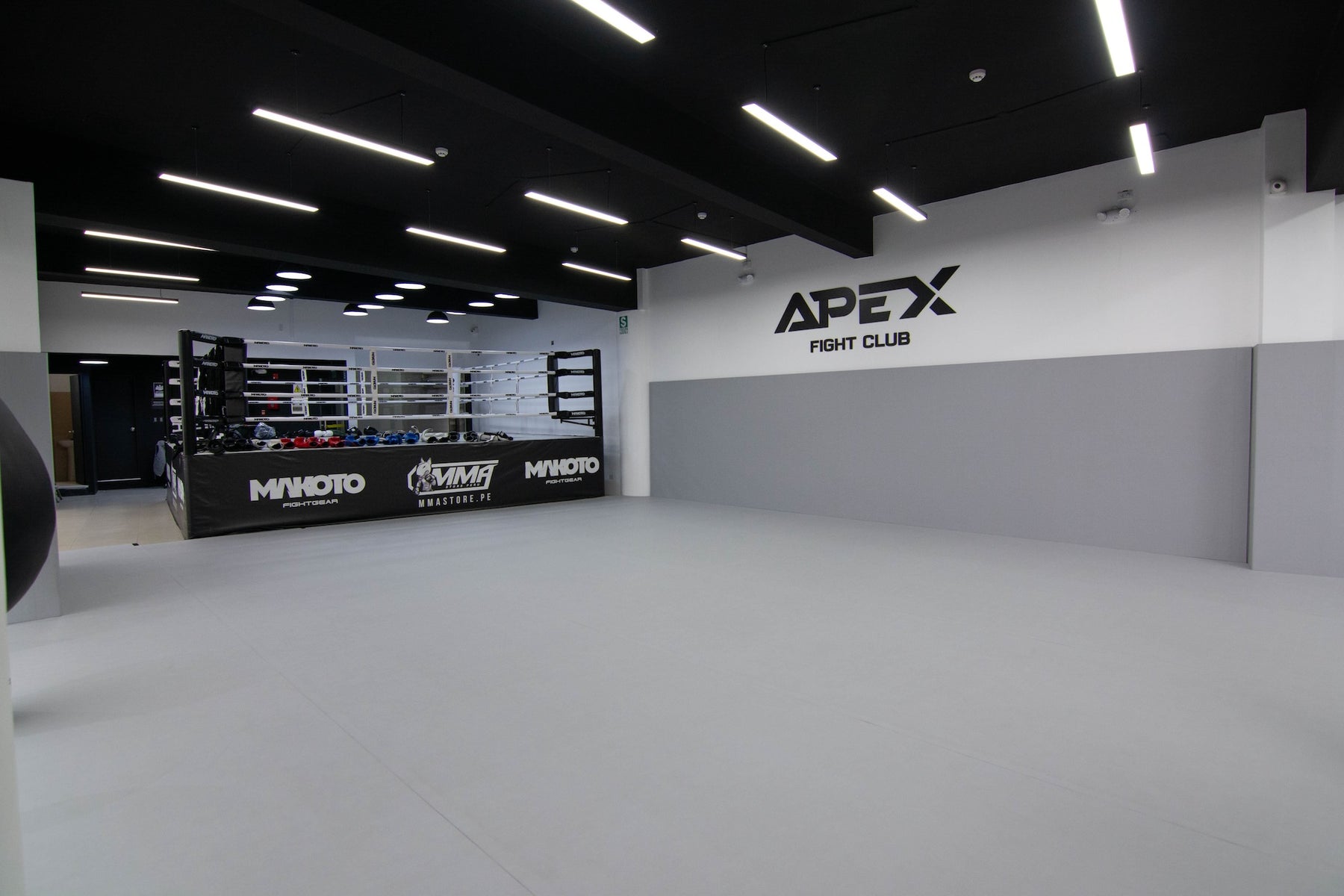 Apex Fight Club